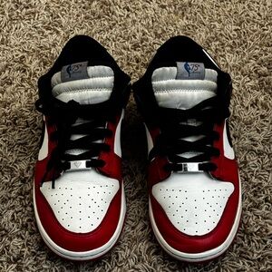 (9.5) Nike Dunk EMB Chicago